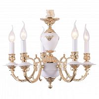 Подвесная люстра Arte Lamp 8020 A8020LM-5WG