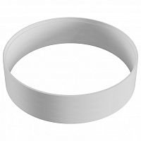 Вставка декоративная Maytoni Accessories for downlight DLA041-01W