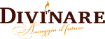 DIVINARE
