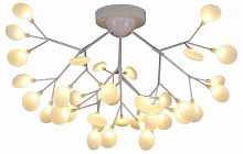 Потолочная люстра EVOLUCE Avola SLE250102-36