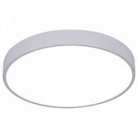 Накладной светильник Arte Lamp Arena A2661PL-1WH