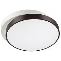 Накладной светильник Lumion Agatha 4509/72CL