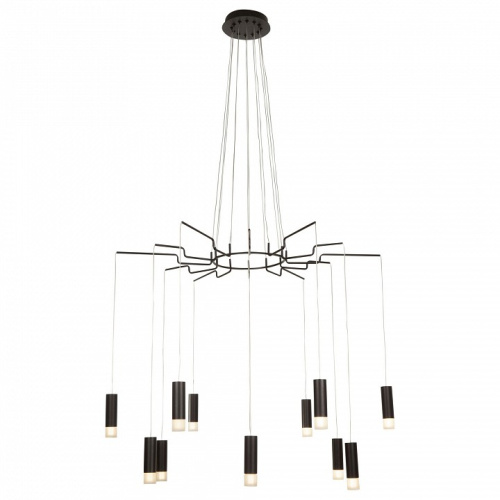 Подвесная люстра Maytoni Davida MOD035PL-12B фото 2