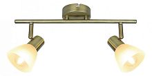 Спот Arte Lamp Parry A5062AP-2AB
