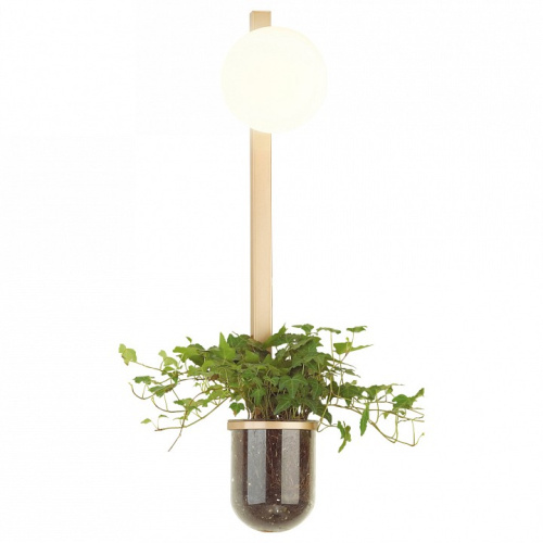 Бра Odeon Light Flower 4682/1WB
