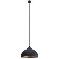 Светильник Eglo 49247 TRURO