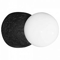 Накладной светильник Loft it Quill 10109W Dark grey