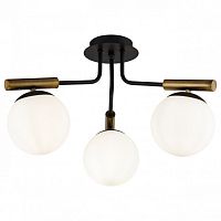 Потолочная люстра Freya Paolina FR5011CL-03B