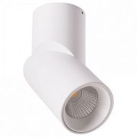 Накладной светильник Arte Lamp Orione A7717PL-1WH