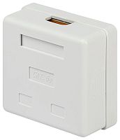 Розетка компьютерная RJ-45 кат.5e неэкран. 2-порта ЭРА Б0056902