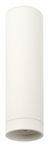 Накладной светильник Denkirs DK2000 DK2052-WH