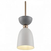 Подвесной светильник Maytoni Cloches MOD113PL-01W